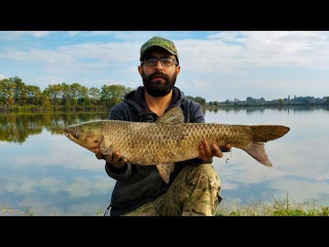 თევზაობა მასოს ტბაზე 2019 დიდი თევზის დაჭერა!